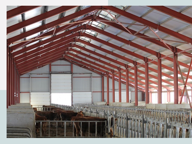 Строительство коровников в Осинниках