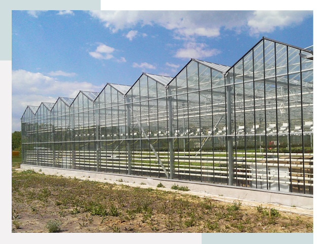 Строительство теплиц в Осинники от 615 руб. за м²