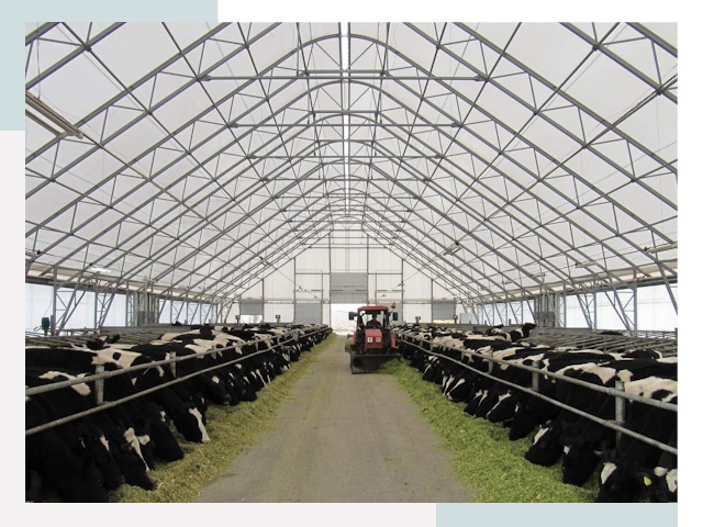 Тентовые коровники в Осинниках от 615 руб. - Надежно и доступно